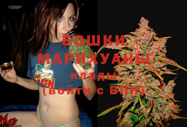 крисы Белоозёрский