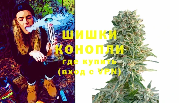 крисы Белоозёрский