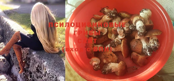 крисы Белоозёрский